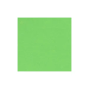 Cartulina Iris 25 Pliegos Verde Claro Genial 50X65Cm