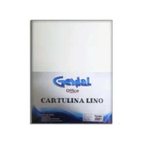 Cartulina Tama?o Carta Paquete20 Lino Blanca