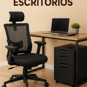 Sillas y Escritorios